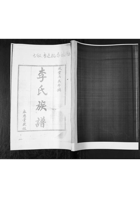 山东李氏-李氏族谱.pdf电子版缩略图