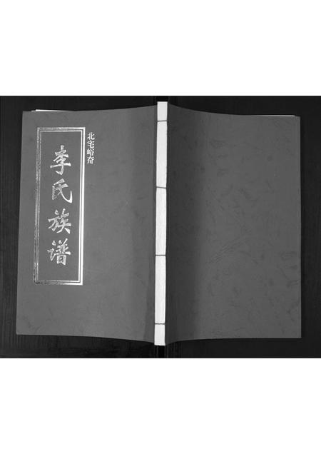 山东李氏-李氏族谱.pdf电子版缩略图