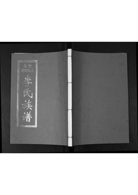 山东李氏-李氏族谱.pdf电子版缩略图