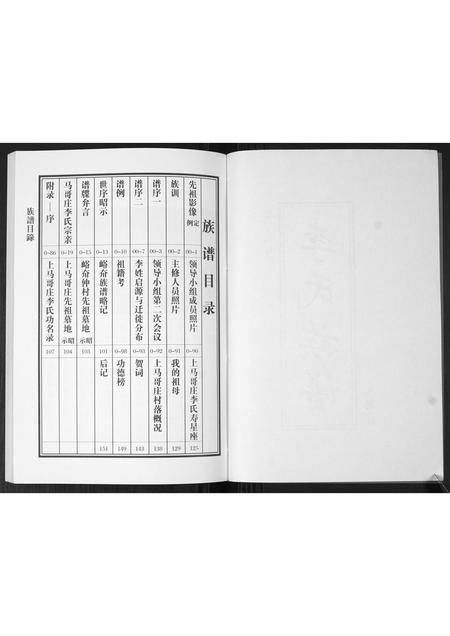 山东李氏-李氏族谱.pdf电子版预览图2