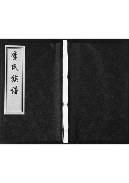 山东李氏-李氏族谱.pdf电子版缩略图