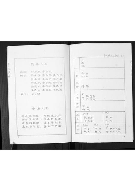 山东李氏-李氏族谱.pdf电子版预览图4