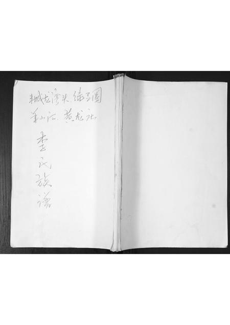 山东李氏-李氏族谱.pdf电子版缩略图