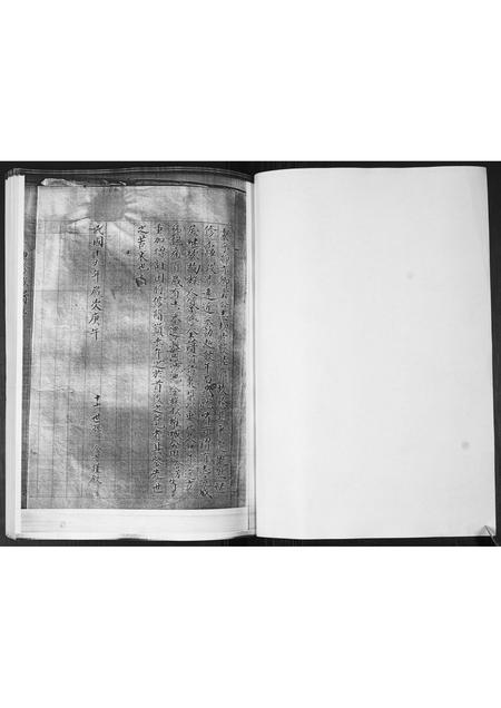 山东李氏-李氏族谱.pdf电子版预览图5