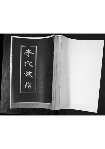 山东李氏-李氏族谱.pdf电子版缩略图