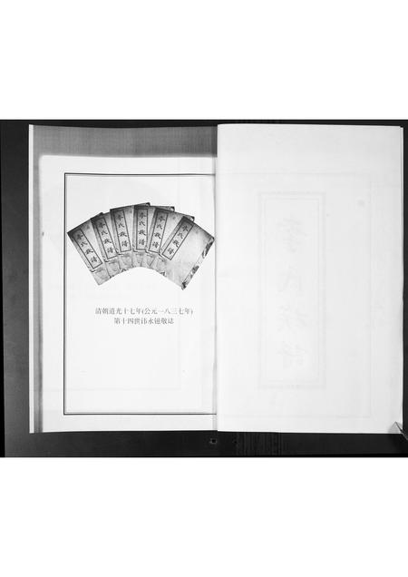 山东李氏-李氏族谱.pdf电子版预览图2