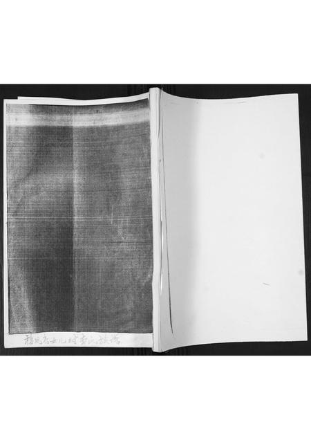 山东李氏-李氏族谱.pdf电子版缩略图