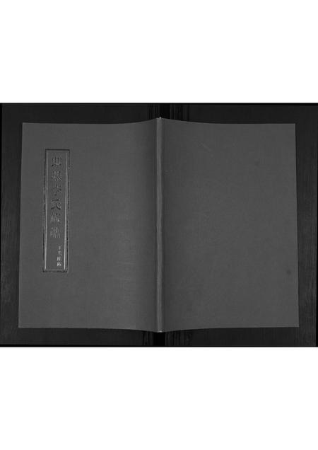 山东李氏-李氏族谱.pdf电子版缩略图