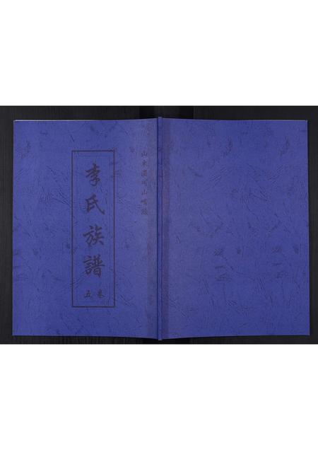 山东李氏-李氏族谱.pdf电子版缩略图