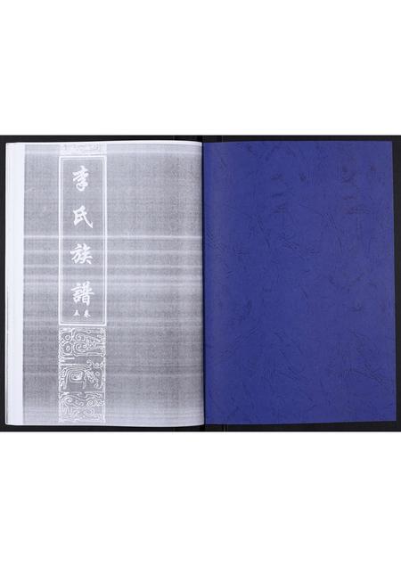 山东李氏-李氏族谱.pdf电子版预览图1