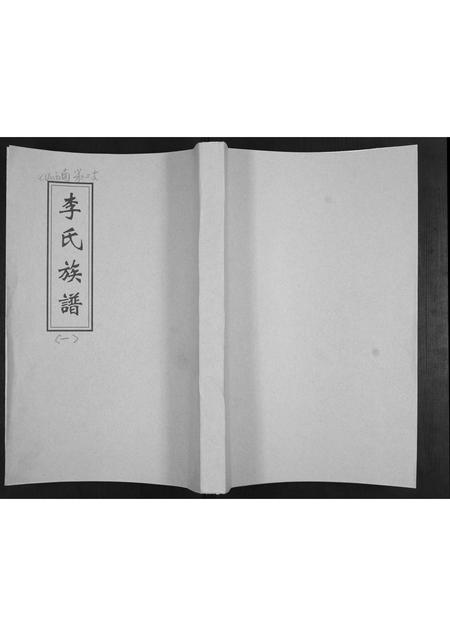 山东李氏-李氏族谱.pdf电子版缩略图