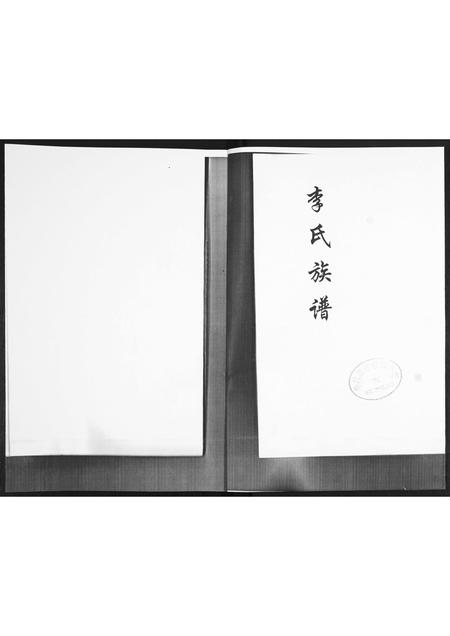 山东李氏-李氏族谱.pdf电子版预览图1