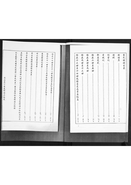 山东李氏-李氏族谱.pdf电子版预览图4