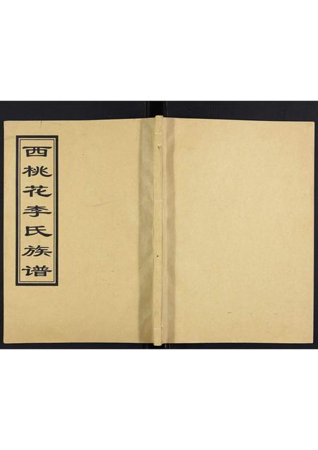 山东李氏-李氏族谱.pdf电子版缩略图