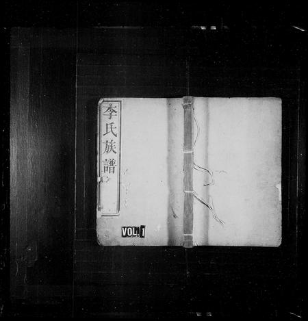 山东李氏-李氏族谱.pdf电子版缩略图