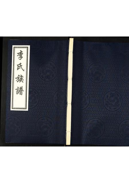 山东李氏-李氏族谱.pdf电子版缩略图