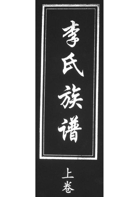 山东李氏-李氏族谱[2卷].pdf电子版缩略图