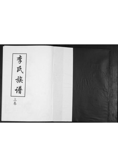 山东李氏-李氏族谱[2卷].pdf电子版预览图1