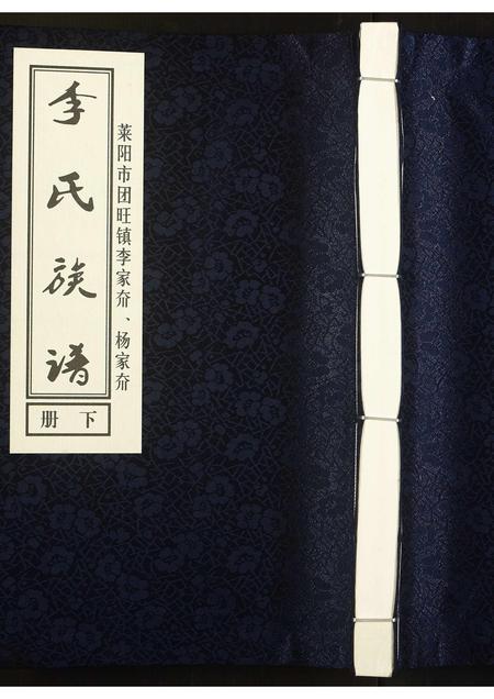 山东李氏-李氏族谱[上下册](别名：Li Shi Zu Pu).pdf电子版缩略图