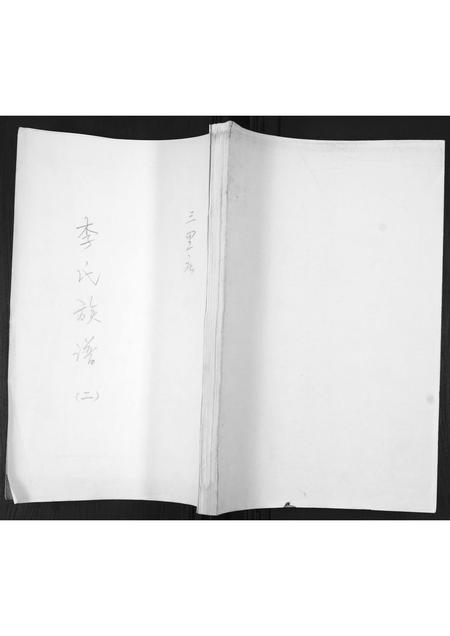 山东李氏-李氏族谱[不分卷].pdf电子版缩略图