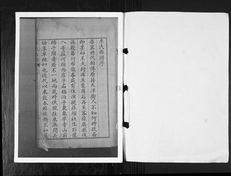 山东李氏-李氏族谱[不分卷].pdf电子版预览图1