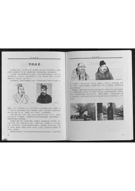 山东李氏-李氏族谱[不分卷].pdf电子版预览图5