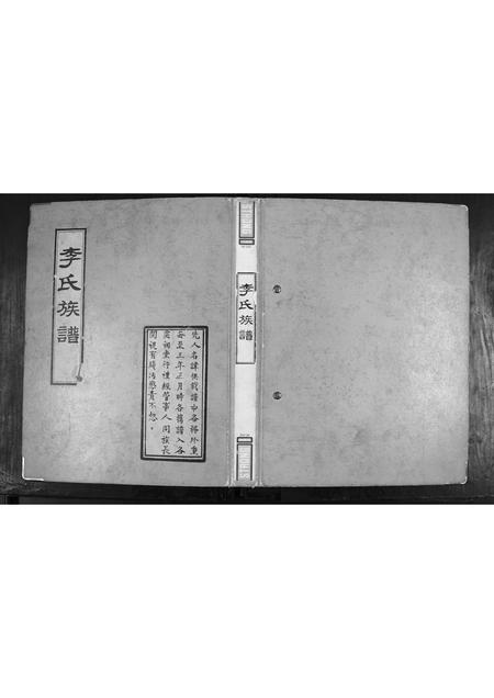 山东李氏-李氏族谱[不分卷].pdf电子版缩略图