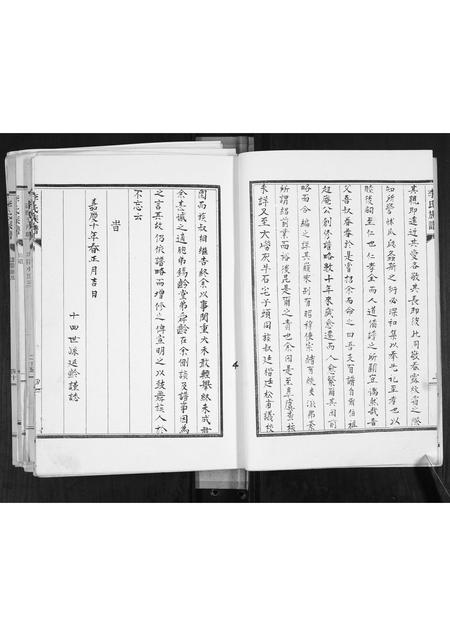 山东李氏-李氏族谱[不分卷].pdf电子版预览图5