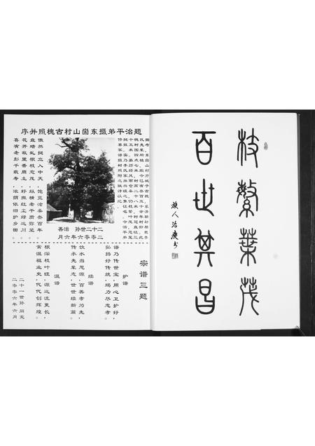 山东李氏-李氏祖谱.pdf电子版预览图3