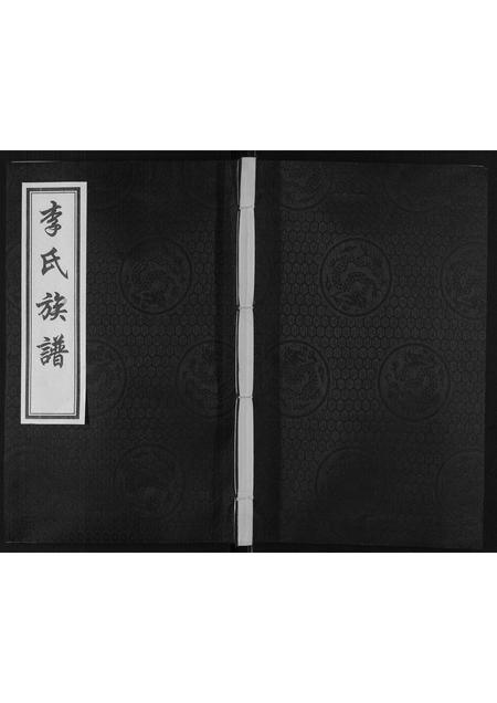 山东李氏-李氏祖谱.pdf电子版缩略图