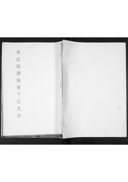 山东李氏-李氏祖谱张家下庄支派.pdf电子版缩略图