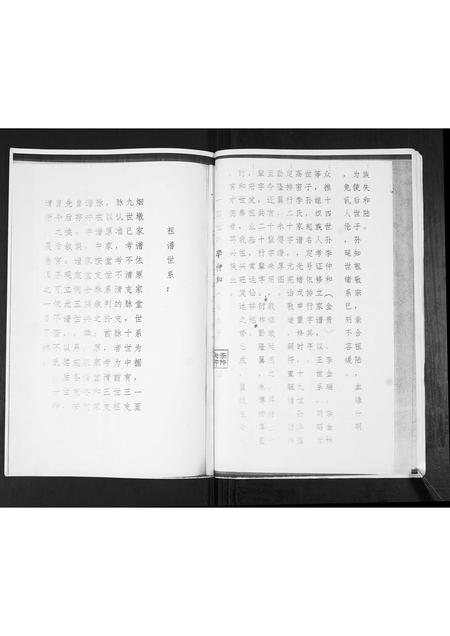 山东李氏-李氏祖谱张家下庄支派.pdf电子版预览图3