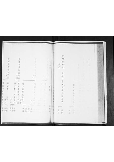 山东李氏-李氏祖谱张家下庄支派.pdf电子版预览图5