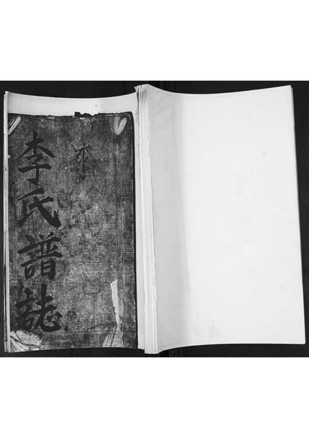 山东李氏-李氏谱志.pdf电子版缩略图