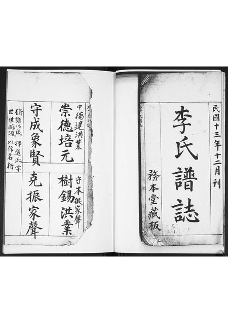 山东李氏-李氏谱志.pdf电子版预览图3