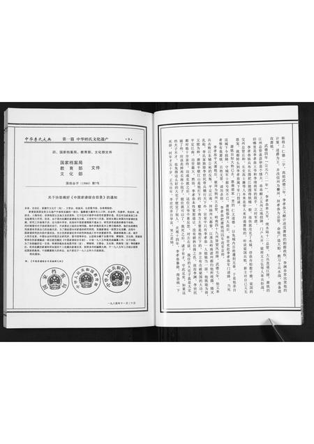 山东李氏-枣庄李氏族谱[不分卷].pdf电子版预览图4