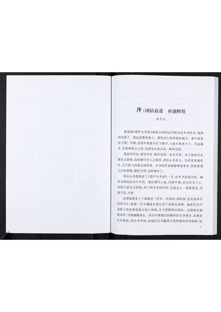 山东李氏-葫芦头李家[不分卷].pdf电子版预览图3