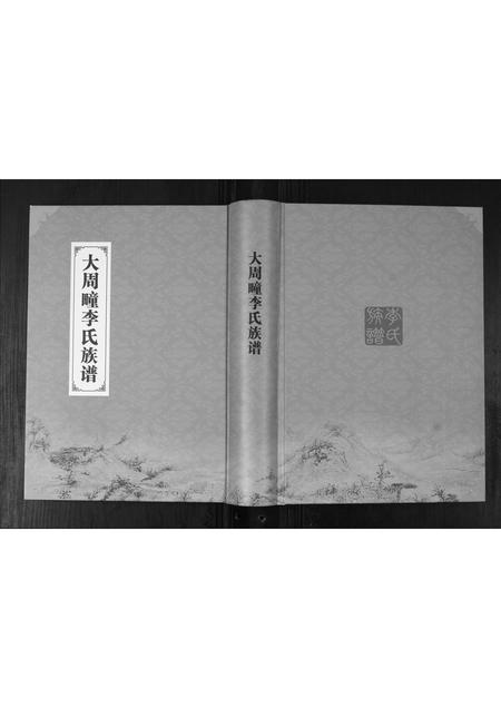 山东李氏-大周疃李氏族谱[不分卷].pdf电子版缩略图