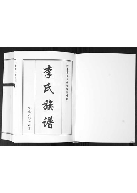 山东李氏-大周疃李氏族谱[不分卷].pdf电子版预览图1