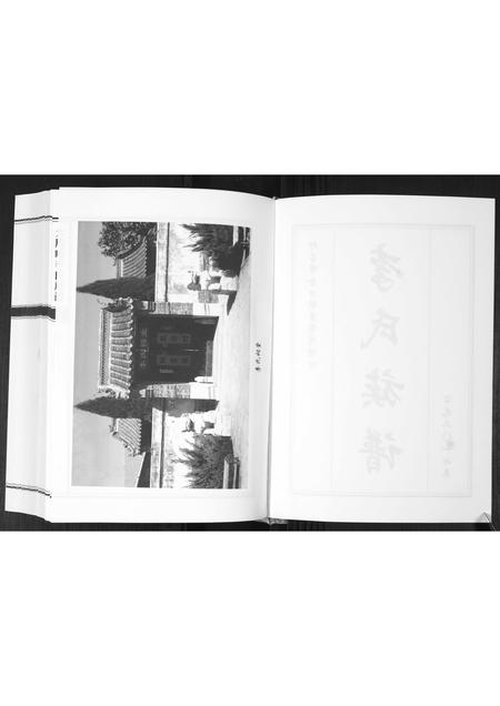 山东李氏-大周疃李氏族谱[不分卷].pdf电子版预览图2