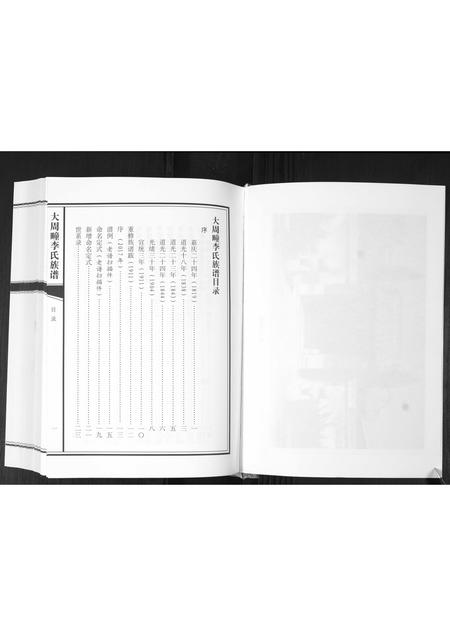 山东李氏-大周疃李氏族谱[不分卷].pdf电子版预览图3