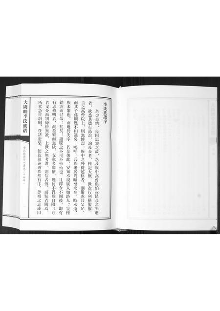 山东李氏-大周疃李氏族谱[不分卷].pdf电子版预览图5