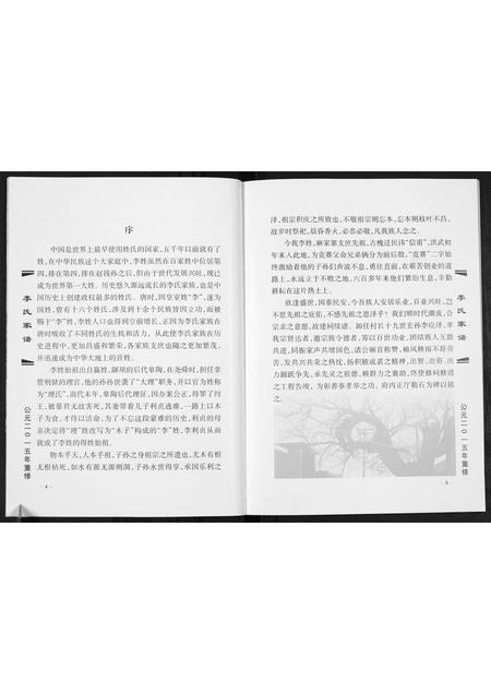 山西李氏-李氏家谱.pdf电子版预览图4