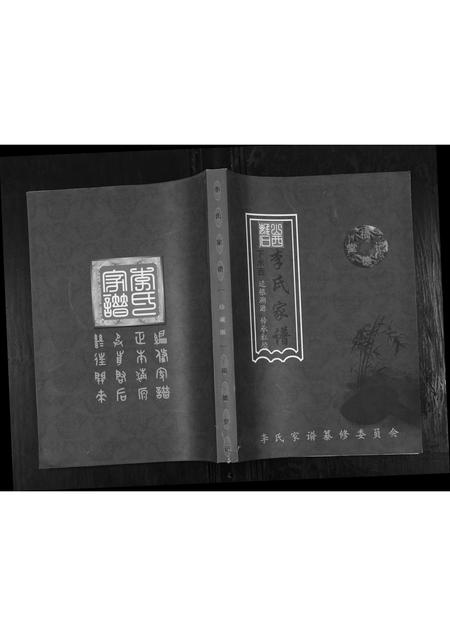 山西李氏-李氏家谱.pdf电子版缩略图