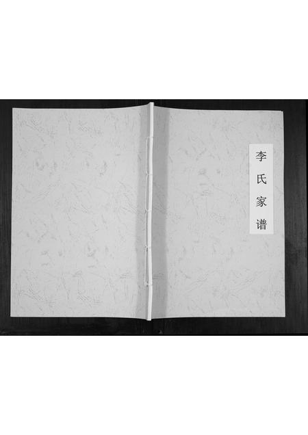 山西李氏-李氏家谱[不分卷].pdf电子版缩略图