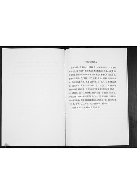 山西李氏-李氏家谱[不分卷].pdf电子版预览图5