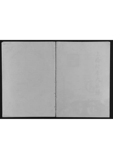 广西李氏-上桥村李氏族谱.pdf电子版缩略图