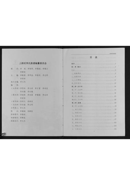 广西李氏-上桥村李氏族谱.pdf电子版预览图2