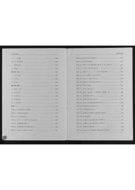 广西李氏-上桥村李氏族谱.pdf电子版预览图4