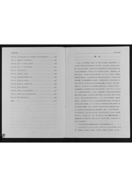 广西李氏-上桥村李氏族谱.pdf电子版预览图5